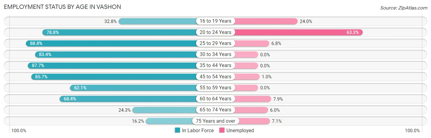 Employment Status by Age in Vashon