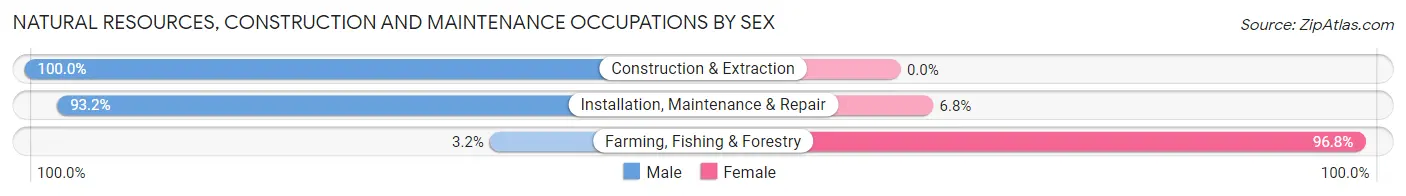 Natural Resources, Construction and Maintenance Occupations by Sex in Vashon