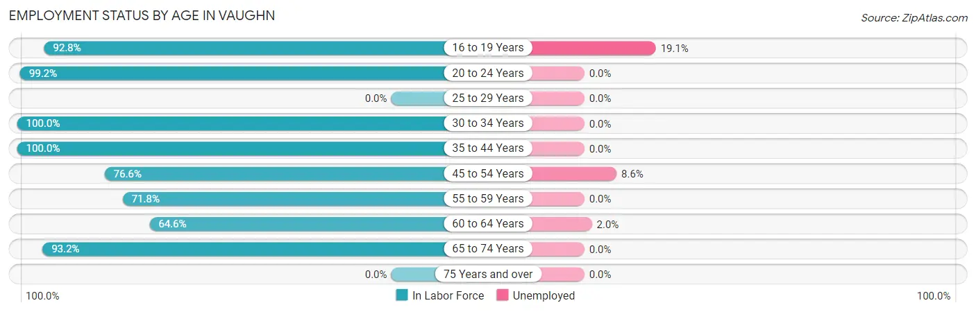 Employment Status by Age in Vaughn