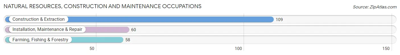 Natural Resources, Construction and Maintenance Occupations in Waterville