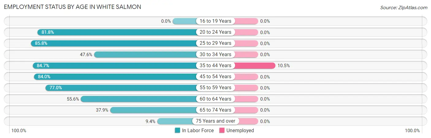 Employment Status by Age in White Salmon