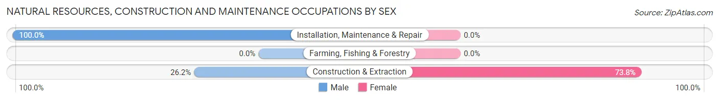 Natural Resources, Construction and Maintenance Occupations by Sex in White Salmon