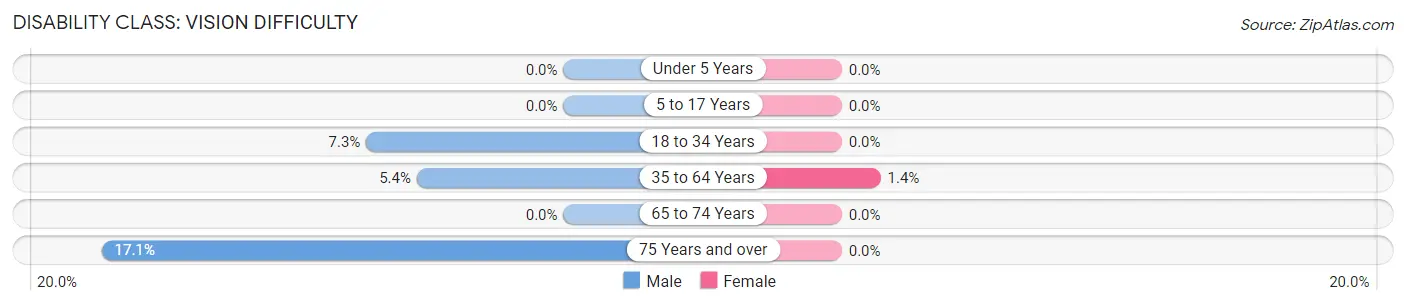 Disability in Albany: <span>Vision Difficulty</span>