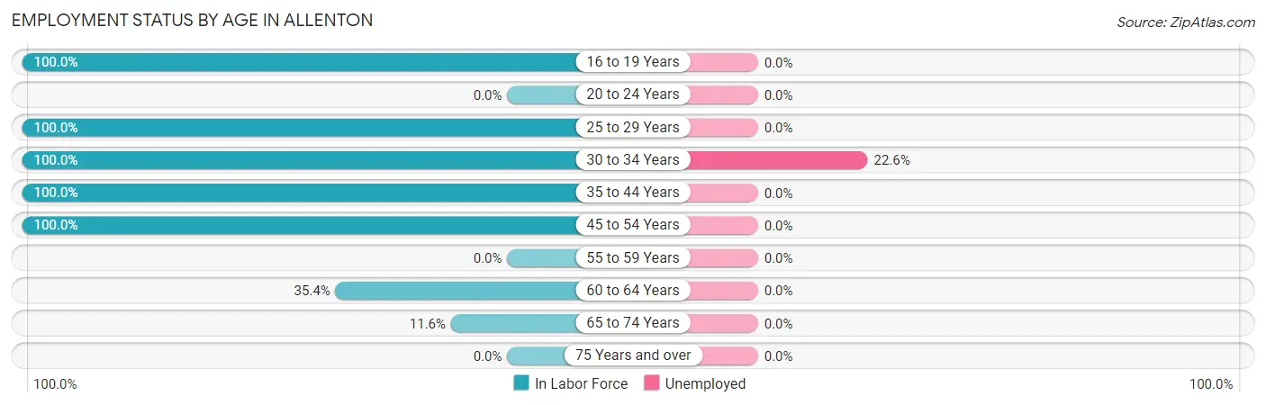 Employment Status by Age in Allenton