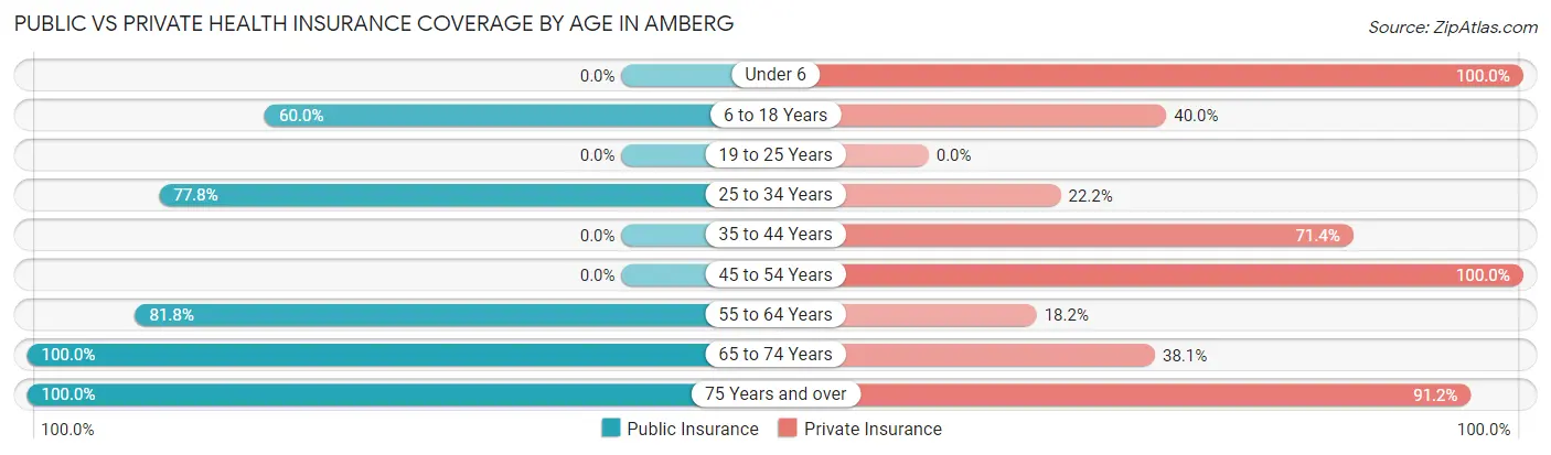 Public vs Private Health Insurance Coverage by Age in Amberg