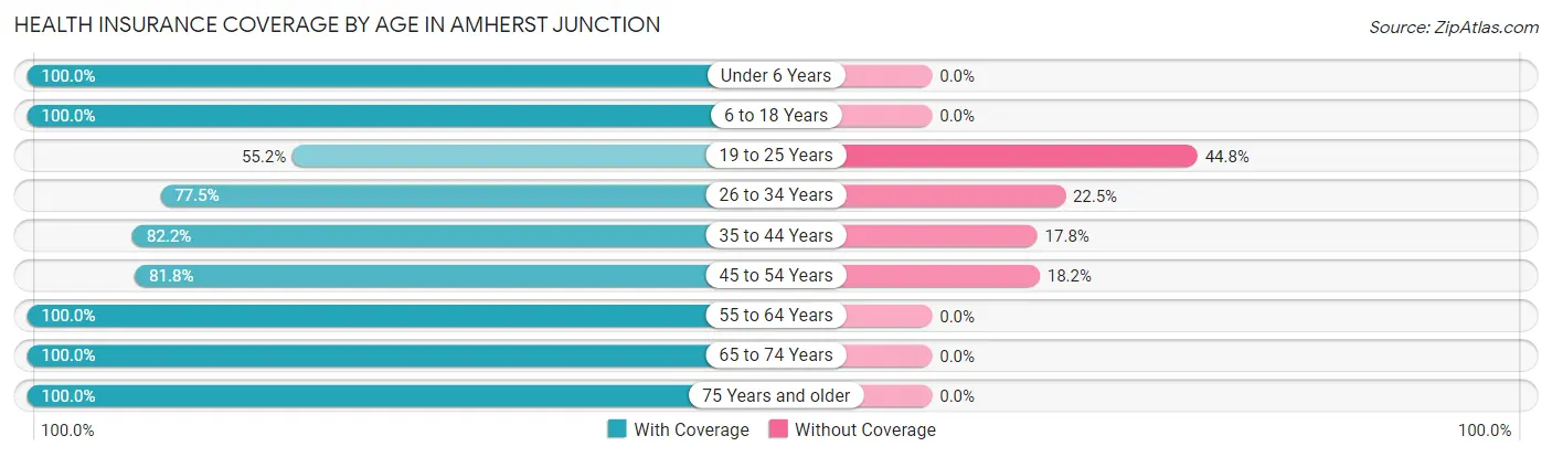 Health Insurance Coverage by Age in Amherst Junction
