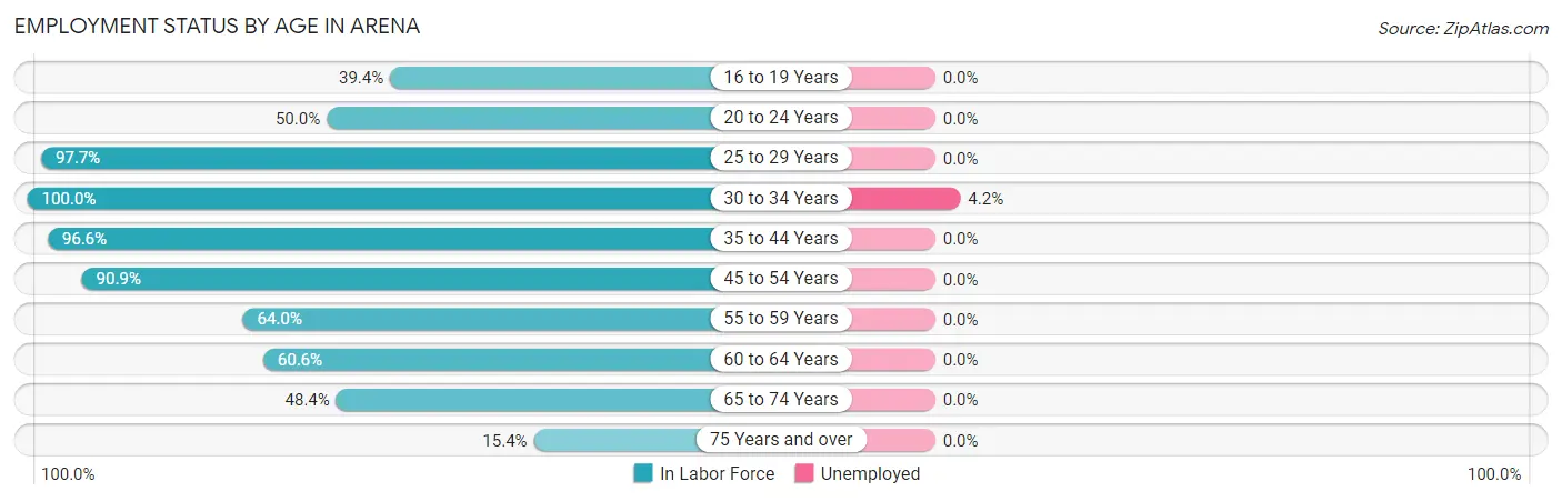 Employment Status by Age in Arena