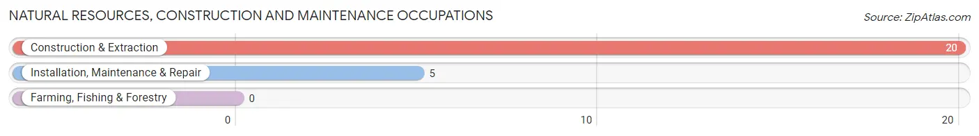 Natural Resources, Construction and Maintenance Occupations in Ashippun