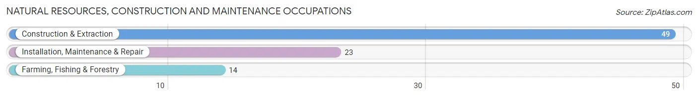 Natural Resources, Construction and Maintenance Occupations in Athens