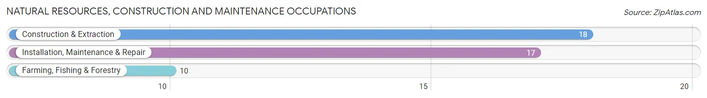 Natural Resources, Construction and Maintenance Occupations in Avoca