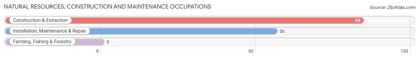 Natural Resources, Construction and Maintenance Occupations in Baldwin