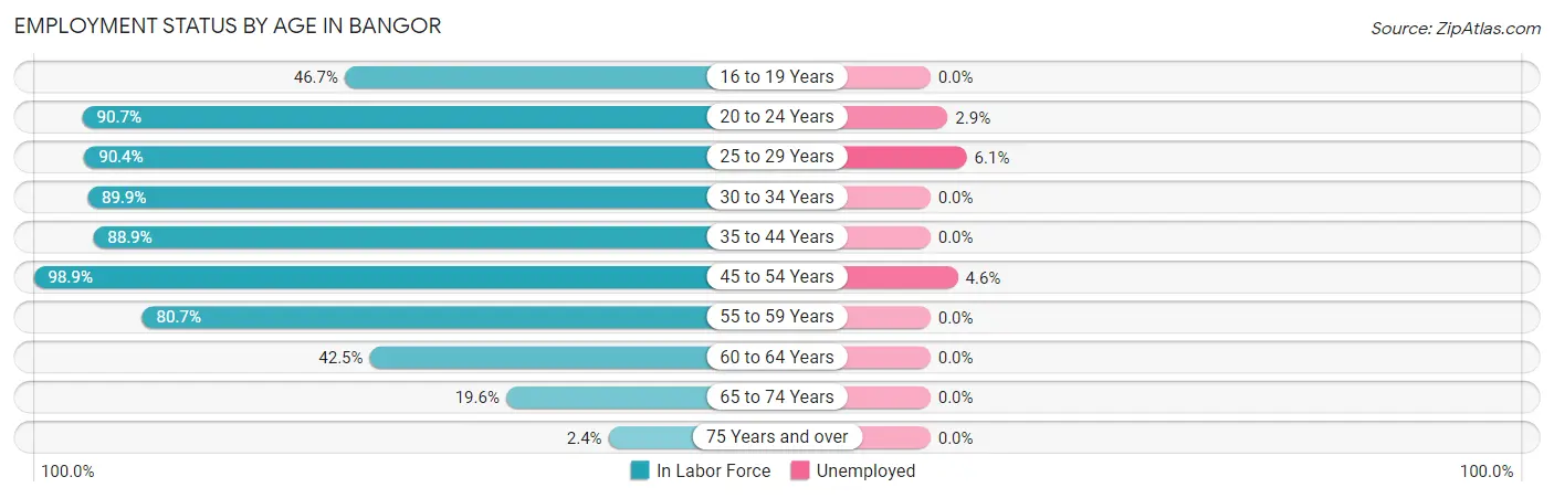 Employment Status by Age in Bangor
