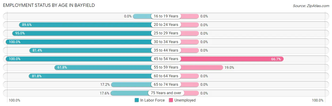 Employment Status by Age in Bayfield