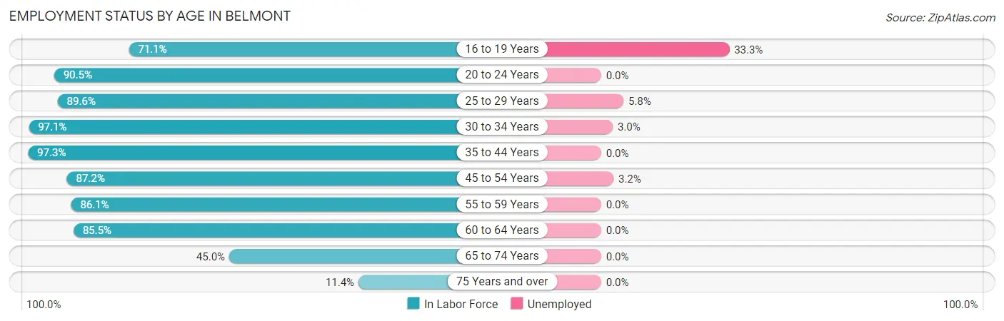 Employment Status by Age in Belmont