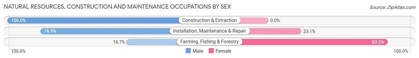 Natural Resources, Construction and Maintenance Occupations by Sex in Belmont