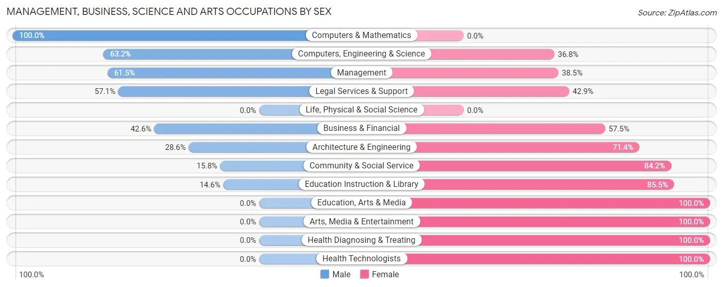 Management, Business, Science and Arts Occupations by Sex in Berlin