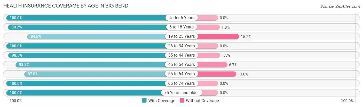 Health Insurance Coverage by Age in Big Bend
