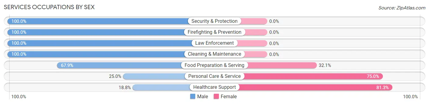 Services Occupations by Sex in Big Bend