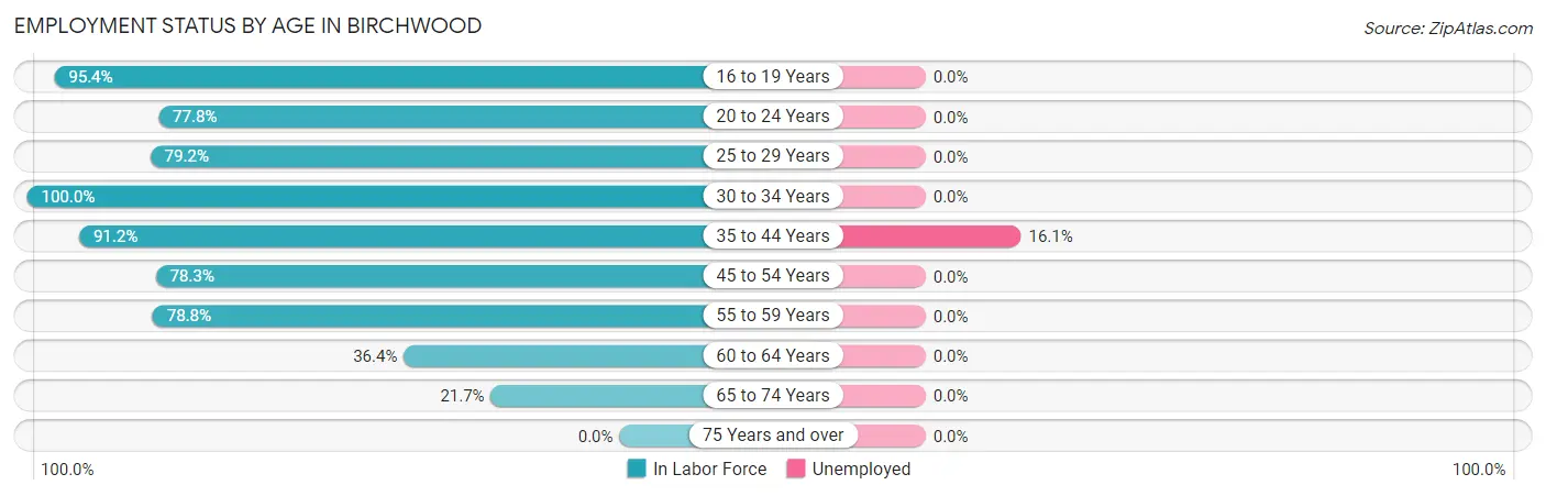 Employment Status by Age in Birchwood