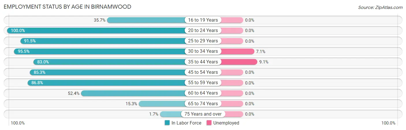 Employment Status by Age in Birnamwood