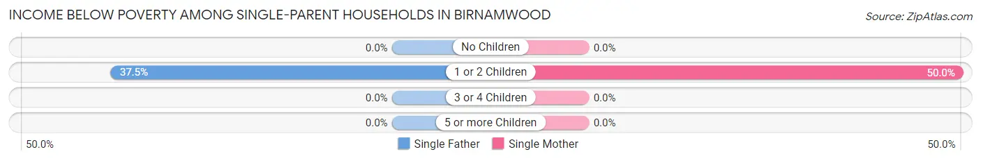 Income Below Poverty Among Single-Parent Households in Birnamwood
