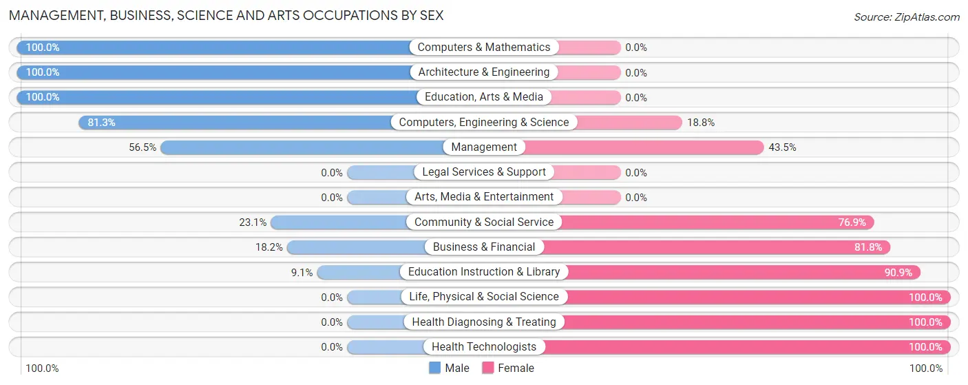 Management, Business, Science and Arts Occupations by Sex in Birnamwood