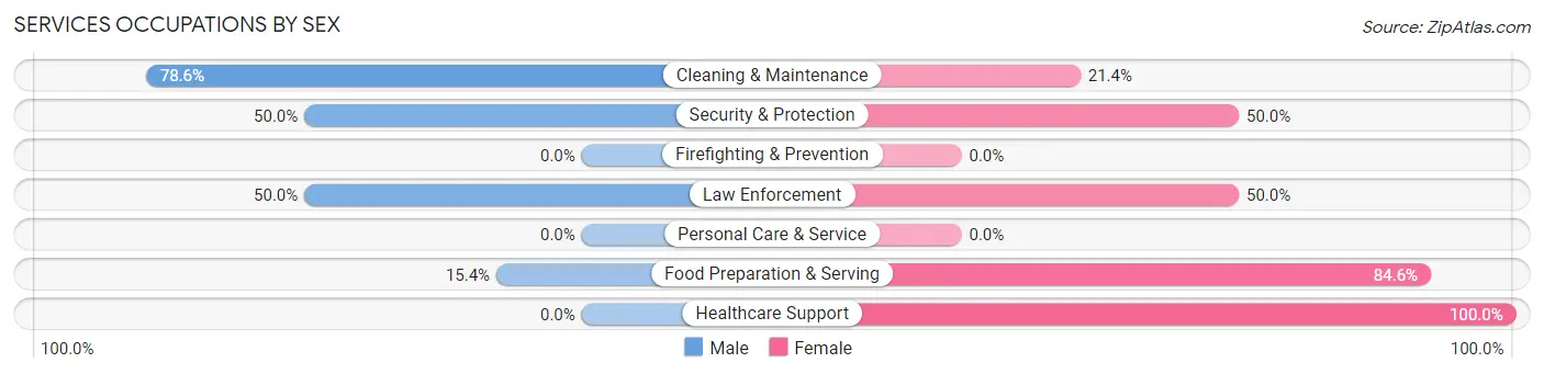 Services Occupations by Sex in Birnamwood