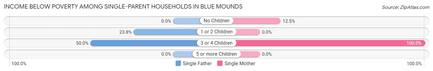 Income Below Poverty Among Single-Parent Households in Blue Mounds