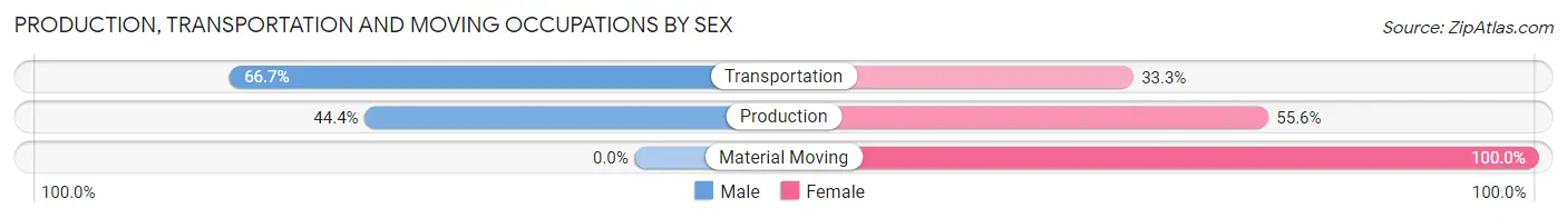 Production, Transportation and Moving Occupations by Sex in Briggsville