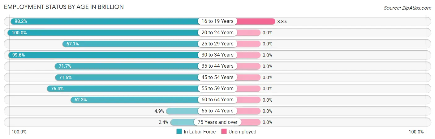 Employment Status by Age in Brillion