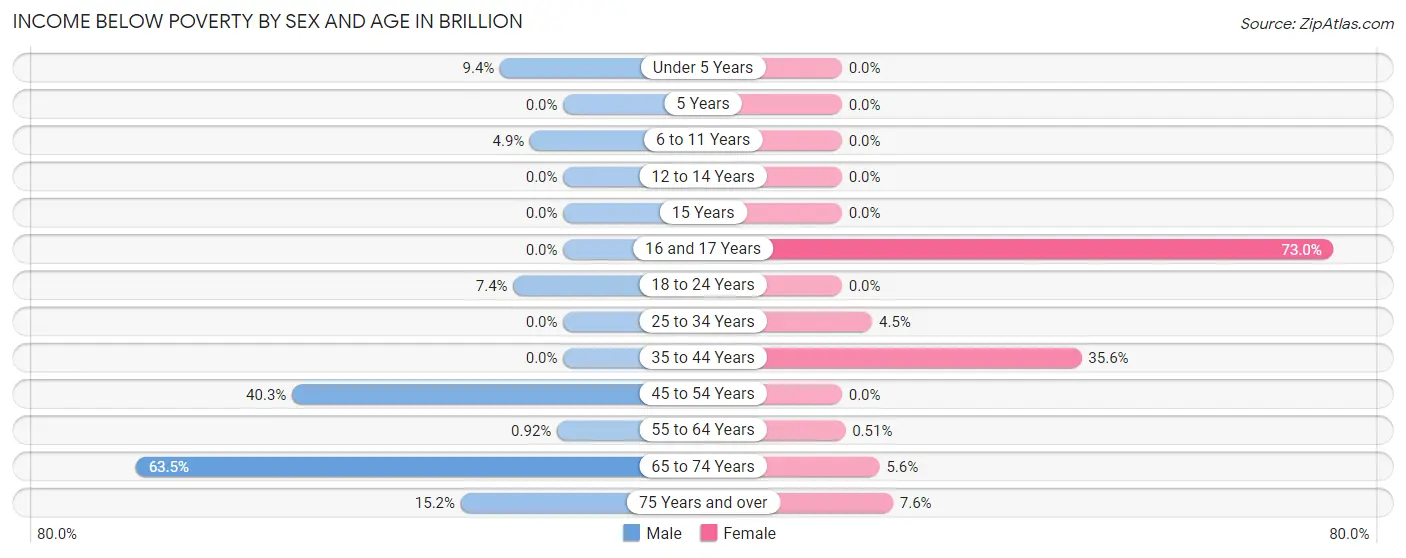 Income Below Poverty by Sex and Age in Brillion
