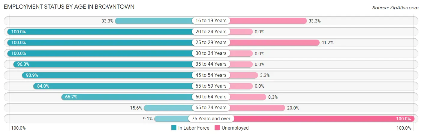Employment Status by Age in Browntown