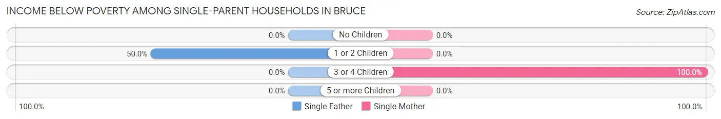Income Below Poverty Among Single-Parent Households in Bruce