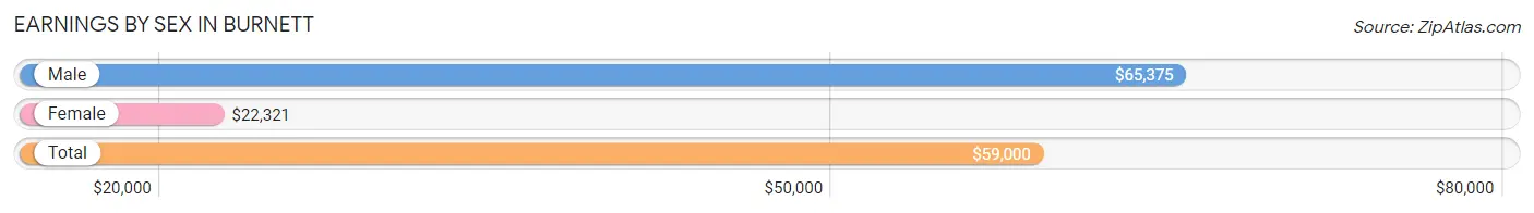 Earnings by Sex in Burnett