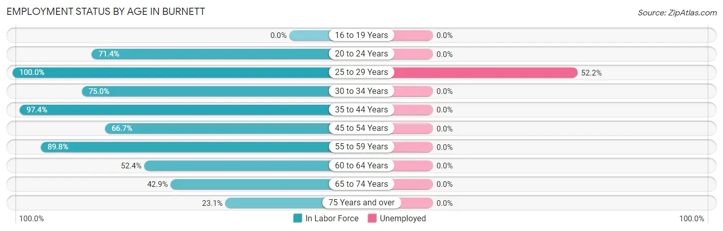 Employment Status by Age in Burnett
