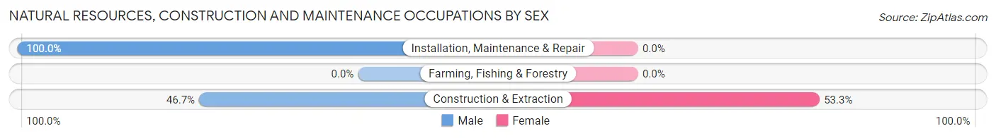 Natural Resources, Construction and Maintenance Occupations by Sex in Burnett