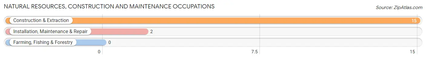 Natural Resources, Construction and Maintenance Occupations in Burnett