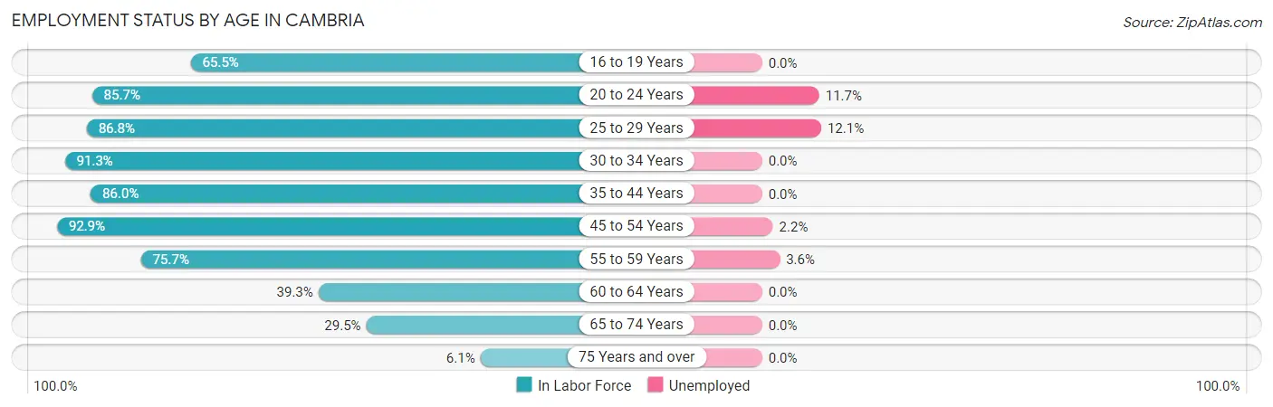 Employment Status by Age in Cambria