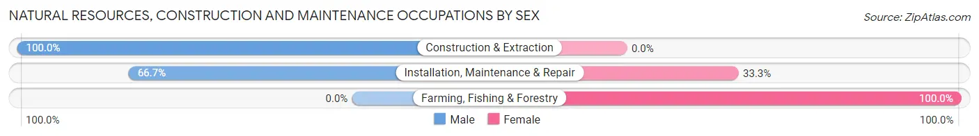 Natural Resources, Construction and Maintenance Occupations by Sex in Caroline