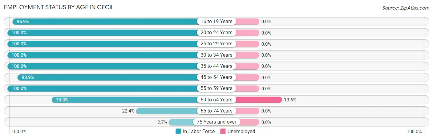 Employment Status by Age in Cecil