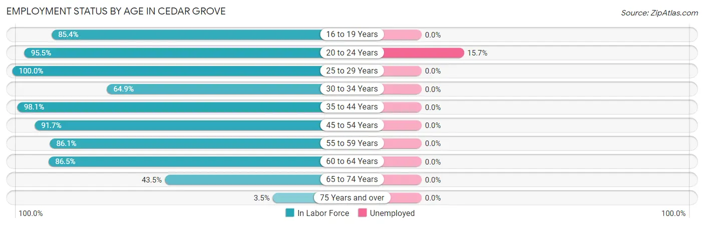 Employment Status by Age in Cedar Grove
