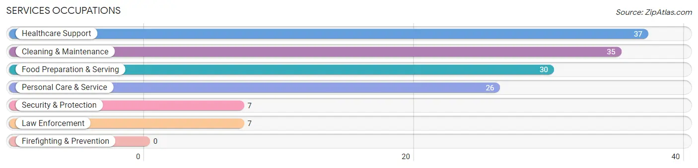 Services Occupations in Cedar Grove