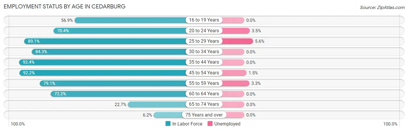 Employment Status by Age in Cedarburg