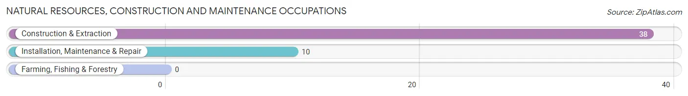 Natural Resources, Construction and Maintenance Occupations in Centuria