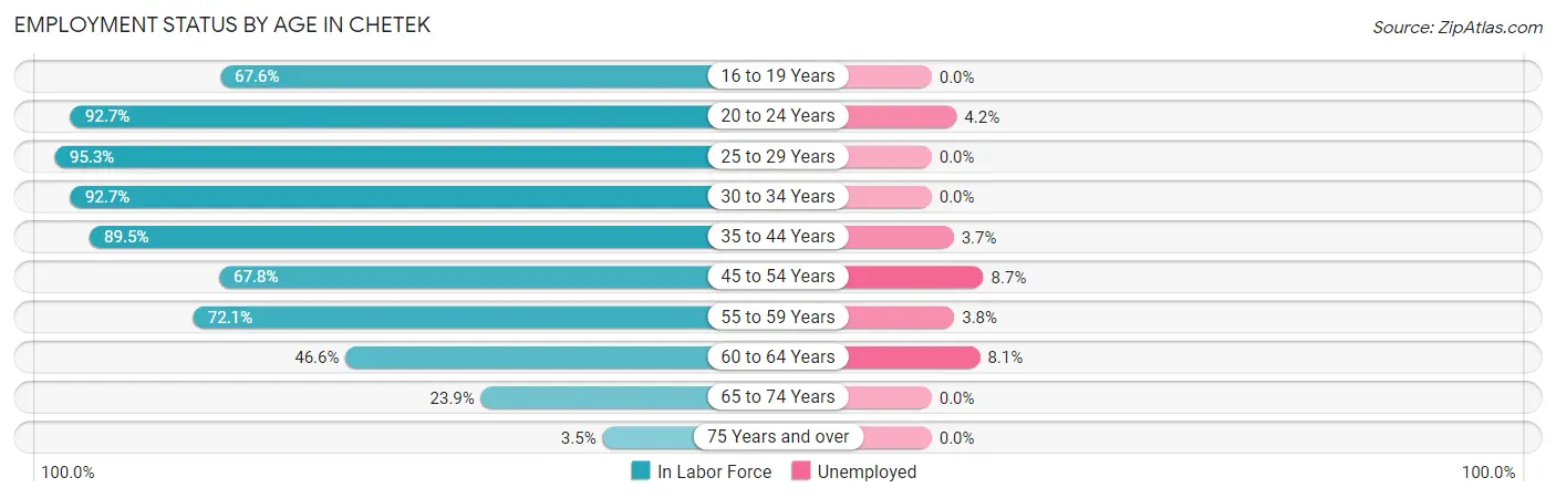 Employment Status by Age in Chetek