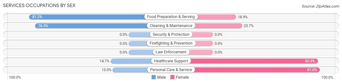 Services Occupations by Sex in Chetek