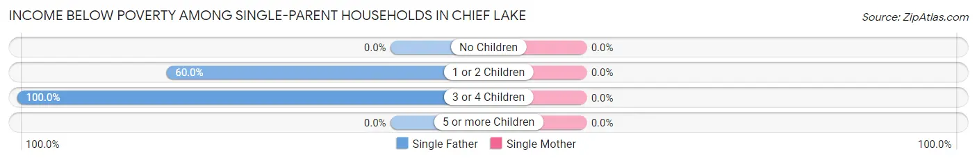 Income Below Poverty Among Single-Parent Households in Chief Lake