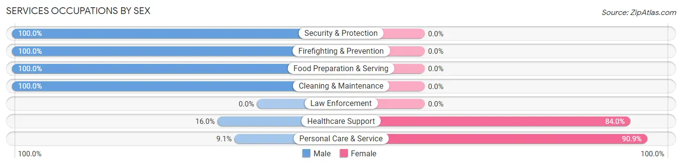 Services Occupations by Sex in Chief Lake