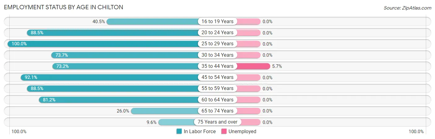 Employment Status by Age in Chilton