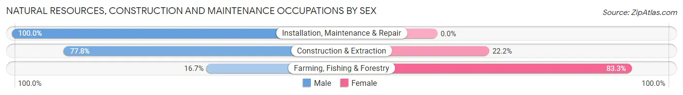 Natural Resources, Construction and Maintenance Occupations by Sex in Coloma